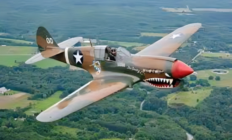 P40 Warhawk